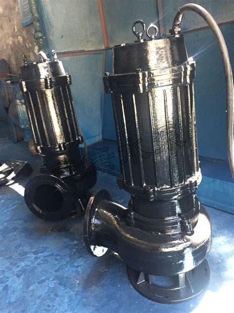 厂家供应 人民水泵 WQ25-20-3KW污水污物潜水电泵无堵塞切割泵-阿里巴巴