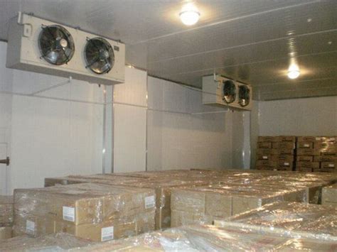 安装一个槟榔保鲜冷库需要花费多少钱？_上海雪艺制冷科技发展有限公司