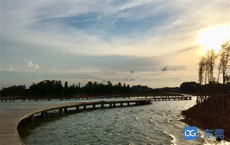 企石东清湖湿地公园建设提速，预计今年年底完工