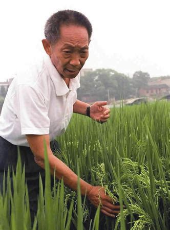 1930年9月7日“杂交水稻之父”袁隆平出生 - 历史上的今天