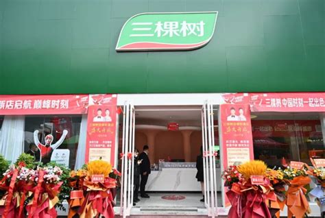 三棵树中国最大门店开业 占地1000平方米打造一站式服务|棵树|中国-企业资讯-川北在线