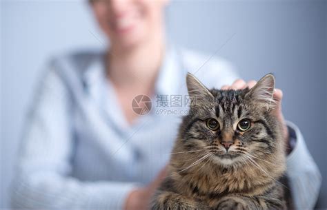 在猫咖女人抱着猫自拍高清图片下载-正版图片502061297-摄图网