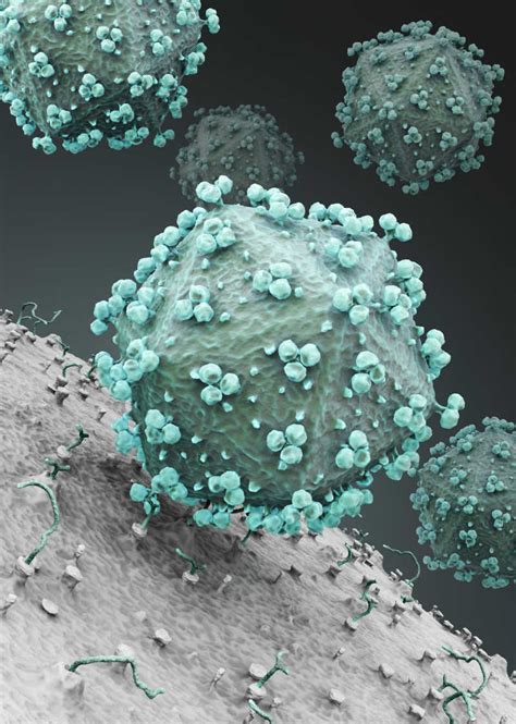 科学网—揭开埃博拉病毒病的神秘面纱 | 《科学通报》 - 科学出版社的博文