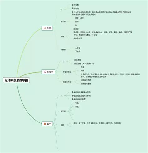 运动系统思维导图图片