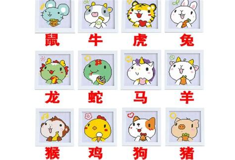 十二生肖排序表图：鼠/牛/虎/兔/龙/蛇/马/羊/猴/鸡/狗/猪-小狼观天下