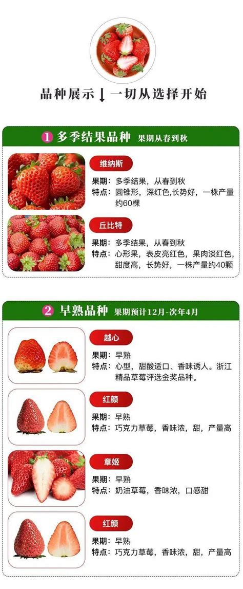 生升农业草莓专用栽培基质 草莓种植营养土草莓无土栽培基质省外-阿里巴巴
