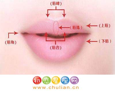 唇珠与没有唇珠的区别 嘴唇面相分析 - 起名网
