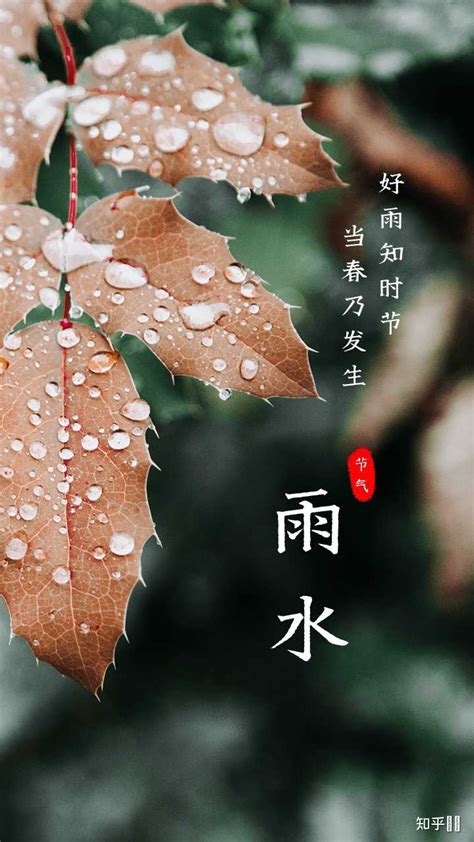 关于江南梅雨季节诗词（熟尽黄梅雨意深，梅子黄时雨）-我爱育娃