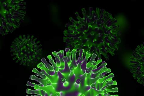 新冠病毒Omicron变异：它是如何出现的？它比Delta更具传染性吗？一位病毒进化专家解释 - 生物通