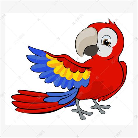 鹦鹉,矢量,卡通,金刚鹦鹉,垂直画幅,热带鸟,美,艺术,绘画插图,设计模板,汇图网www.huitu.com
