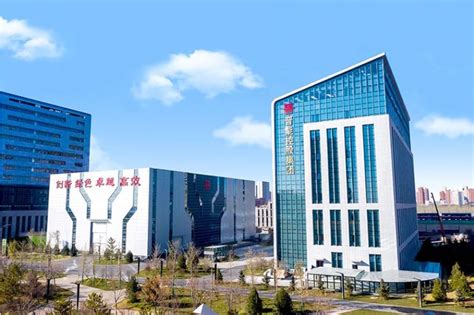 业绩展示|河南龙宇煤化工有限公司1万吨/年乙腈项目
