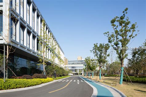 杭州阿里巴巴淘宝城景观设计 - 校园与企业园景观 - 首家园林设计上市公司