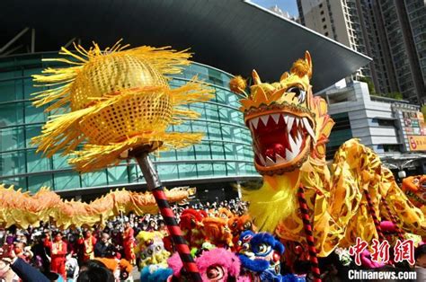 （新春见闻）香港龙狮跃动贺新春 - 国内新闻 - 陕西网