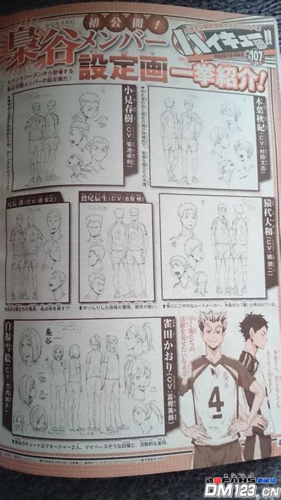 木叶秋纪图片