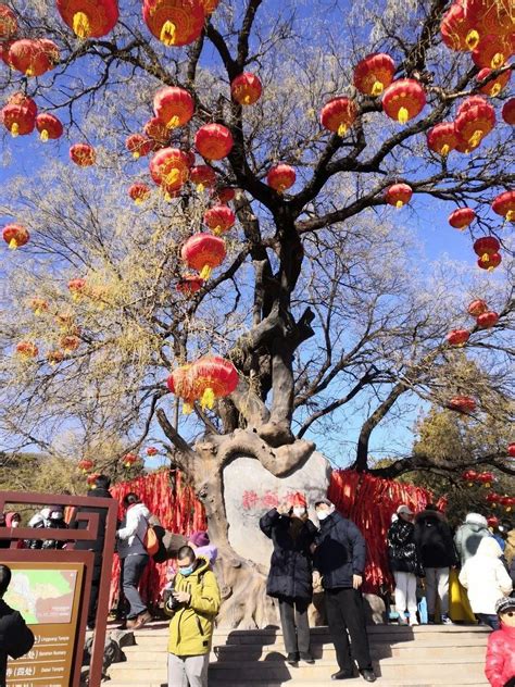 石景山这处庙会真热闹！人山人海、“庙”趣横生！新年祈福来这里_手机新浪网