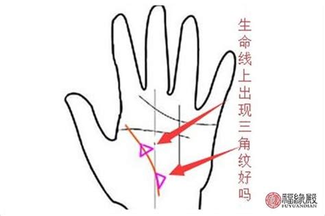 手相中间有三角形 手掌中间有三角形-周易算命网