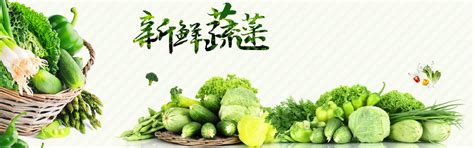 绿色蔬菜设计图__广告设计_广告设计_设计图库_昵图网nipic.com