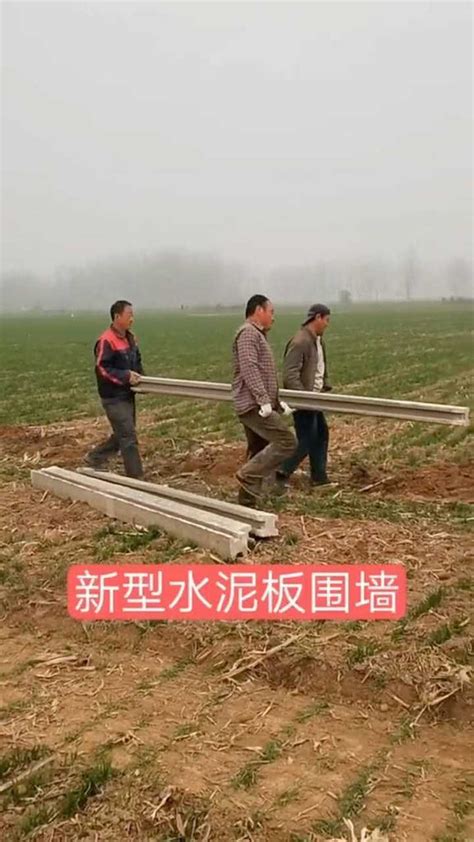 新型水泥板围墙，施工快，造价低，适用于养殖_腾讯视频