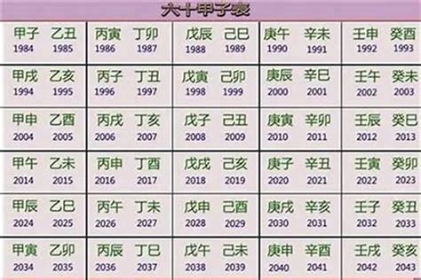 属龙的出生年份表的年份 属龙的在几月出生_生肖_若朴堂文化
