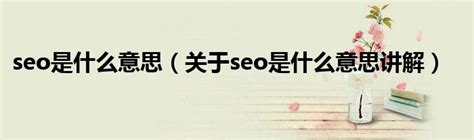 seo是什么意思（SEO技术是什么）-8848SEO