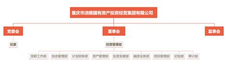 重庆数字涪陵大数据产业发展有限公司