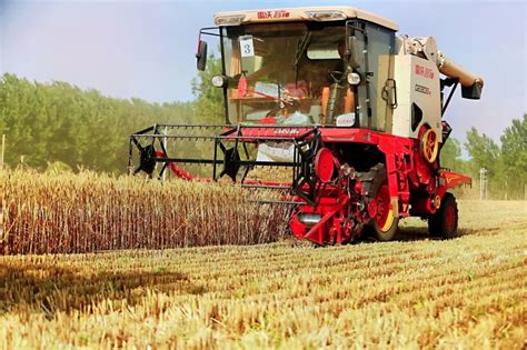 全国“三夏”小麦大规模机收基本结束凤凰网山东_凤凰网