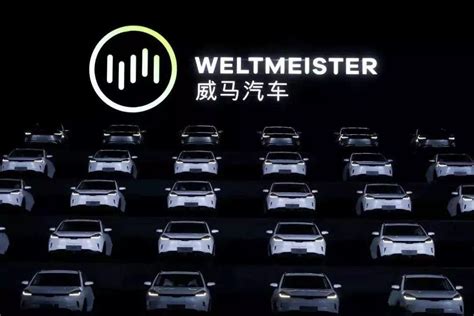 威马EX5本月20日公布售价 目标年销十万-新浪汽车