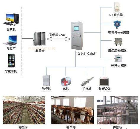 自动化养猪设备【价格 批发 公司】-大石桥市鑫顺畜牧机械设备有限公司
