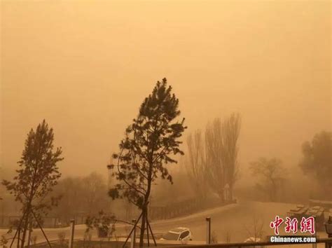 北京疾控：大风沙尘起，注意安全 做好防护很重要！