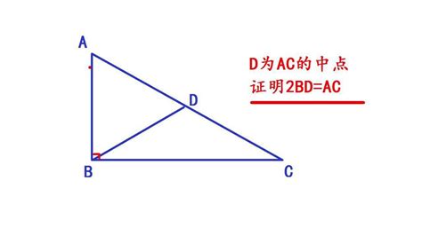 直角三角形斜边怎么算快速方法（求直角三角形的斜边长） | 说明书网