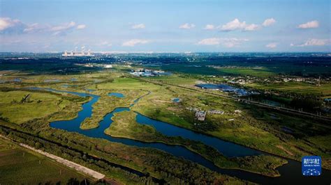 山东冠县：马颊河林场湿地生态修复显成效_时图_图片频道_云南网
