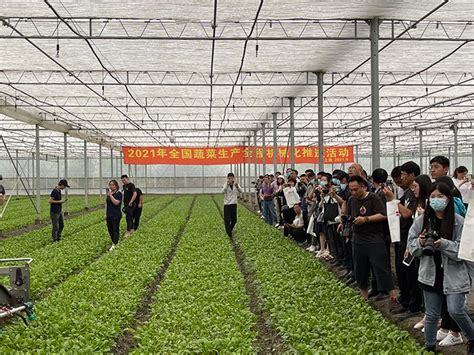 农业农村部中药材全程机械化专家指导组在广西开展调研-中国农业机械化信息网