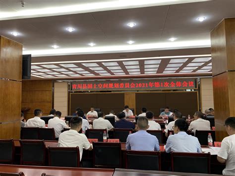 青川县国土空间规划委员会2021年第1次全体会议召开-广元市自然资源局