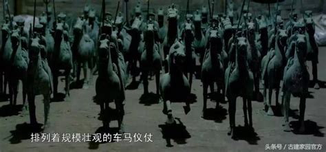 重庆“马痴”养20多匹好马， 曾在珊瑚坝开跑马场全国获奖无数-上游新闻 汇聚向上的力量