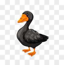 【黑色的鸭子素材】免费下载_黑色的鸭子图片大全_千库网png