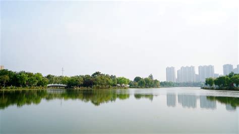盐城市亭湖区领导一行莅临龙元集团考察-龙元明城投资管理（上海）有限公司