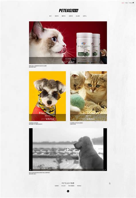 爱宠之家展示网站自适应响应式宠物网站模板免费下载_懒人模板