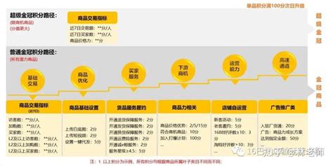 国际站代运营-案例分享-案例-广州领航者信息科技有限公司