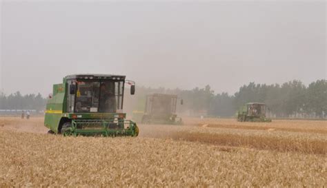 全国三夏麦收全面展开 绿色高效机收成亮点_农机通讯社