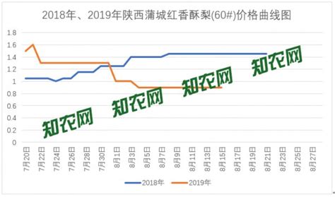 2019年陕西蒲城红香酥梨价格浅谈-知农网
