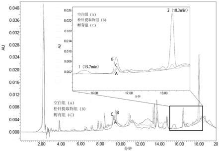 一种抑制5α还原酶活性的松针提取物及其制备方法和应用与流程