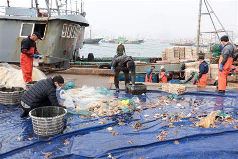 渔民买来上千米鱼网，在海里地毯式捕捞，收获满满#户外 #户外捕鱼 #赶海 #抓鱼 #海鲜
