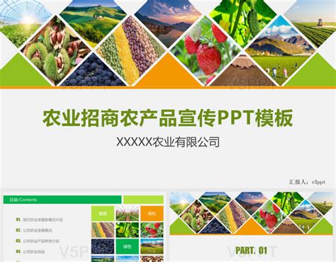 农业生产招商引资农产品宣传PPT模板-PPT模板-图创网