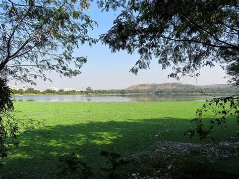 Pashan Lake, Pune (2024) - Images, Timings | Holidify