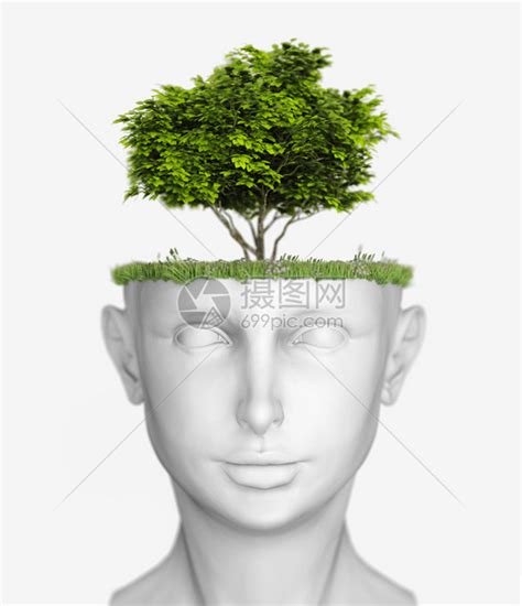 白色人头与树3D概念图片素材-正版创意图片503259417-摄图网