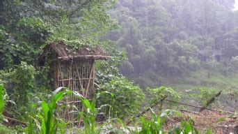 浙江安吉：秋雨迷朦胜春景-人民图片网