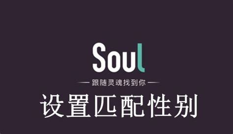 Soul电脑版下载_电脑玩Soul模拟器_逍遥安卓模拟器