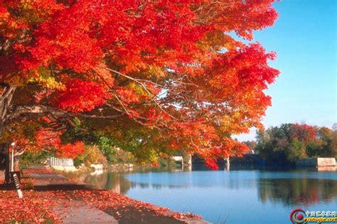 描写秋天景色的诗句有哪些？-有哪些诗句是描写秋天的景色？