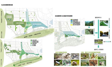 梅溪湖国际新城生态景观专项规划海绵城市与水资源管理_奥雅设计官网