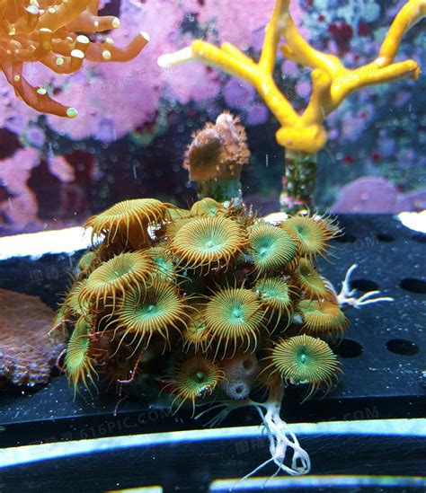 深海水族馆图片